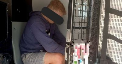 Przed policjantami próbował ukryć się w zbożu